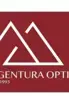 Agentura Optima